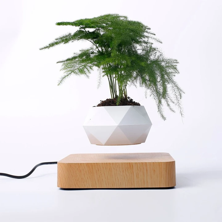 PLANT FLOATING POT
