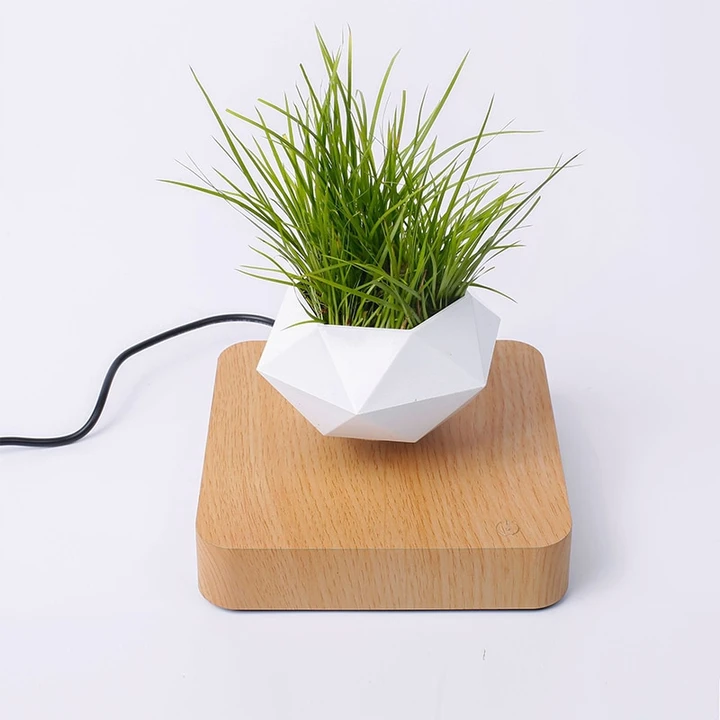 PLANT FLOATING POT