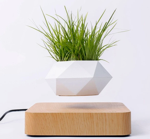 PLANT FLOATING POT